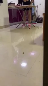 老公临时接到电话去工地加班 趁虚而入在客厅把母狗操喷了